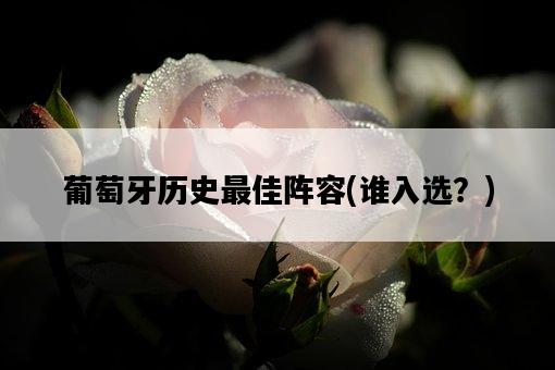 葡萄牙歷史最佳陣容,誰入選?-圖1 葡萄牙歷史最佳陣容,誰入選?-圖1
