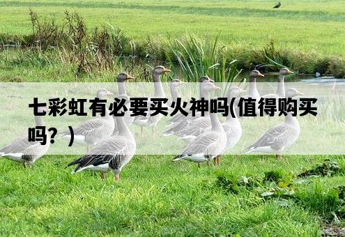 七彩虹有必要買火神嗎，值得購買嗎？-圖1
