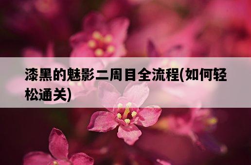 漆黑的魅影二周目全流程，如何輕松通關-圖1