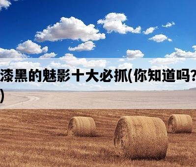 漆黑的魅影十大必抓,你知道嗎?-圖1 漆黑的魅影十大必抓,你知道嗎?-圖1