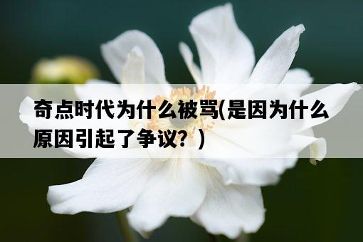奇點時代為什么被罵，是因為什么原因引起了爭議？-圖1