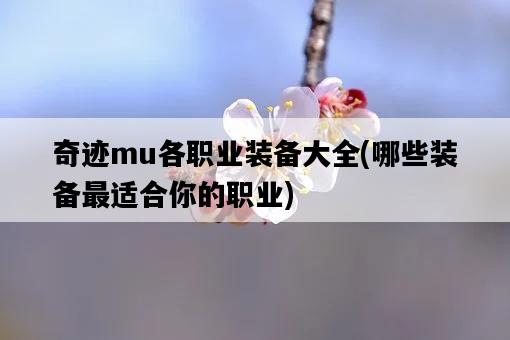 奇跡mu各職業裝備大全，哪些裝備最適合你的職業-圖1