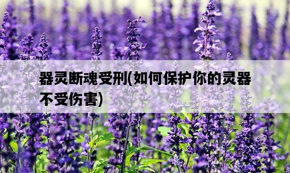 器靈斷魂受刑，如何保護你的靈器不受傷害-圖1