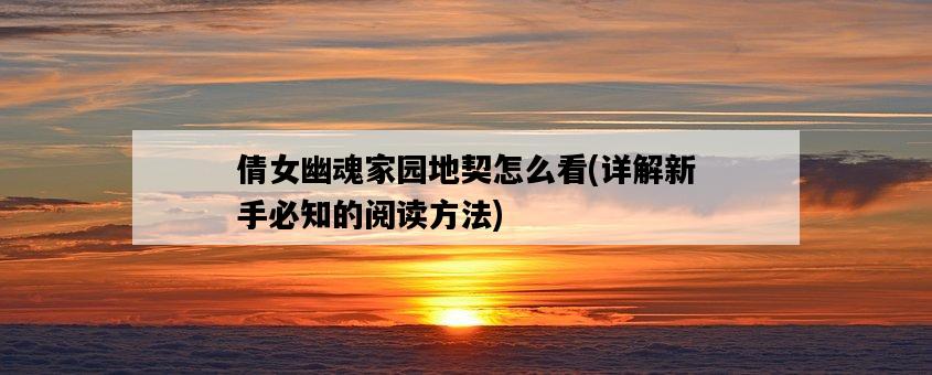 倩女幽魂家園地契怎么看，詳解新手必知的閱讀方法-圖1