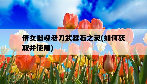 倩女幽魂老刀武器石之靈，如何獲取并使用-圖1