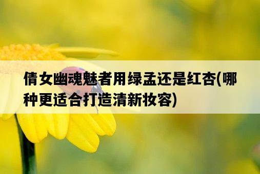 倩女幽魂魅者用綠孟還是紅杏,哪種更適合打造清新妝容-圖1 倩女幽魂魅者用綠孟還是紅杏,哪種更適合打造清新妝容-圖1