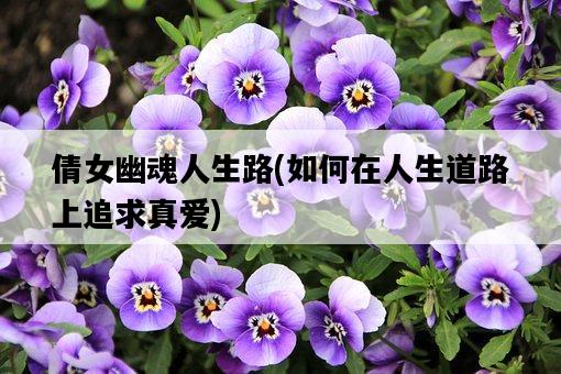 倩女幽魂人生路，如何在人生道路上追求真愛-圖1