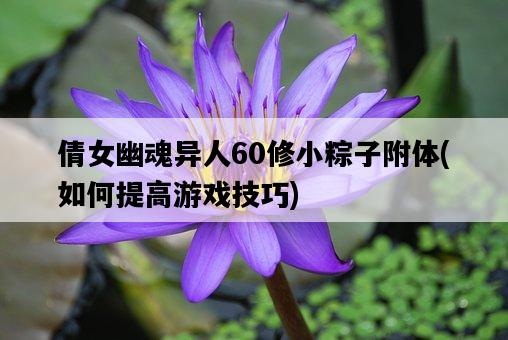倩女幽魂異人60修小粽子附體，如何提高游戲技巧-圖1