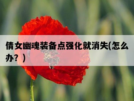 倩女幽魂裝備點強化就消失，怎么辦？-圖1