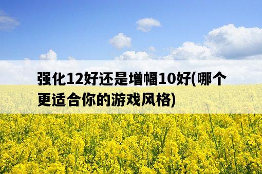 強化12好還是增幅10好，哪個更適合你的游戲風格-圖1