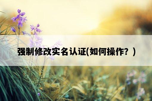 強制修改實名認證，如何操作？-圖1