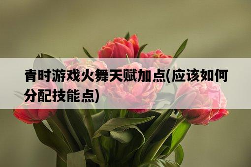 青時游戲火舞天賦加點，應該如何分配技能點-圖1