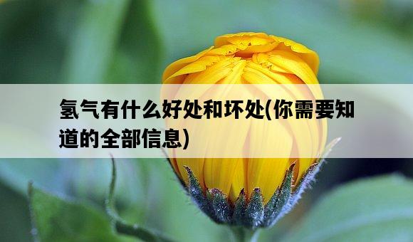 氫氣有什么好處和壞處，你需要知道的全部信息-圖1
