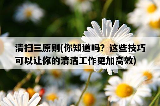 清掃三原則,你知道嗎?這些技巧可以讓你的清潔工作更加高效-圖1 清掃三原則,你知道嗎?這些技巧可以讓你的清潔工作更加高效-圖1
