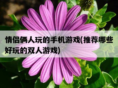 情侶倆人玩的手機游戲，推薦哪些好玩的雙人游戲-圖1