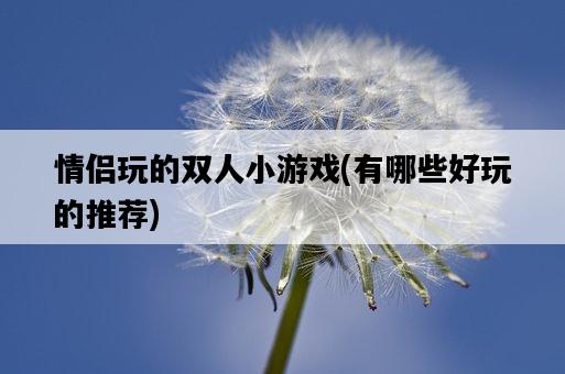 情侶玩的雙人小游戲,有哪些好玩的推薦-圖1 情侶玩的雙人小游戲,有哪些好玩的推薦-圖1