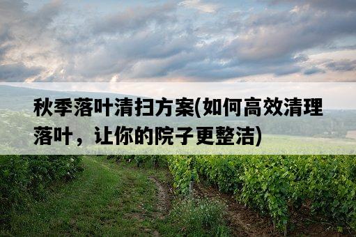 秋季落葉清掃方案，如何高效清理落葉，讓你的院子更整潔-圖1