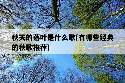 秋天的落葉是什么歌，有哪些經典的秋歌推薦-圖1