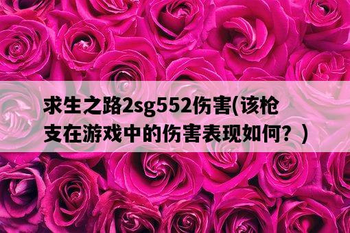 求生之路2sg552傷害，該**在游戲中的傷害表現如何？-圖1