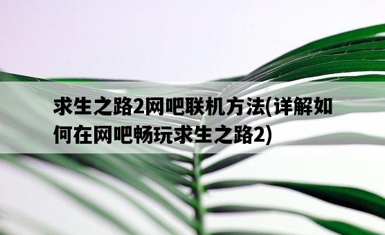 求生之路2網吧聯機方法，詳解如何在網吧暢玩求生之路2-圖1
