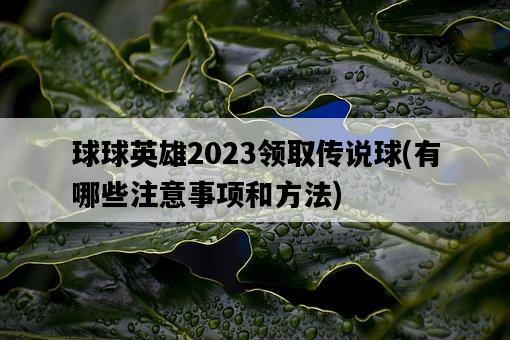 球球英雄2023領取傳說球,有哪些注意事項和方法-圖1 球球英雄2023領取傳說球,有哪些注意事項和方法-圖1
