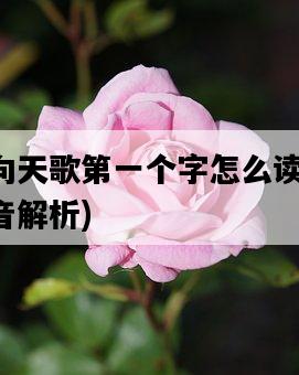 曲項向天歌第一個字怎么讀，音標及發音解析-圖1
