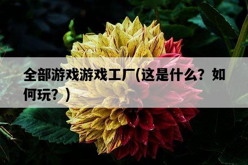 全部游戲游戲工廠，這是什么？如何玩？-圖1