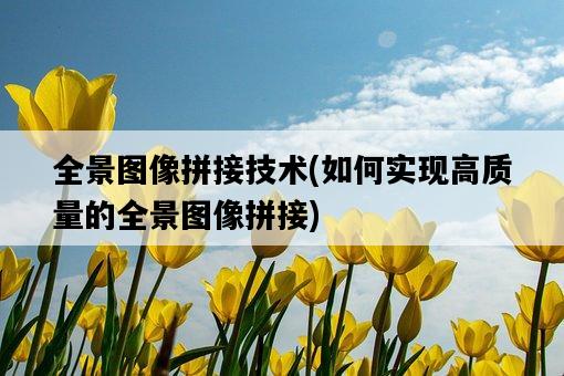 全景圖像拼接技術,如何實現高質量的全景圖像拼接-圖1 全景圖像拼接技術,如何實現高質量的全景圖像拼接-圖1
