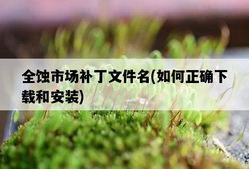 全蝕市場補丁文件名，如何正確下載和安裝-圖1