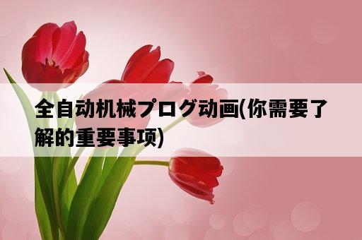 全自動機械プログ動畫，你需要了解的重要事項-圖1