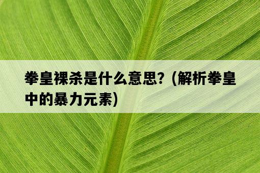 拳皇裸殺是什么意思?,解析拳皇中的暴力元素-圖1 拳皇裸殺是什么意思?,解析拳皇中的暴力元素-圖1