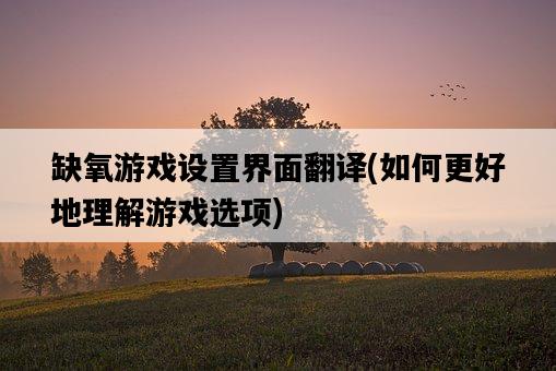 缺氧游戲設置界面翻譯，如何更好地理解游戲選項-圖1