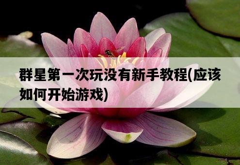 群星第一次玩沒有新手教程，應該如何開始游戲-圖1