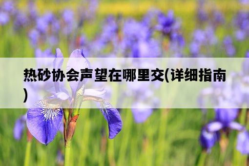 熱砂協會聲望在哪里交,詳細指南-圖1 熱砂協會聲望在哪里交,詳細指南-圖1