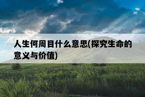 人生何周目什么意思，探究生命的意義與價值-圖1