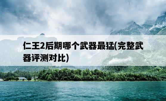 仁王2后期哪個武器最猛，完整武器評測對比-圖1