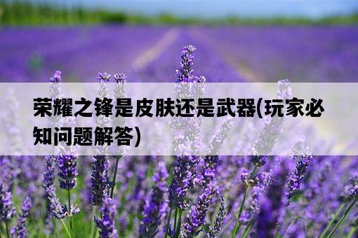 榮耀之鋒是皮膚還是武器，玩家必知問題解答-圖1