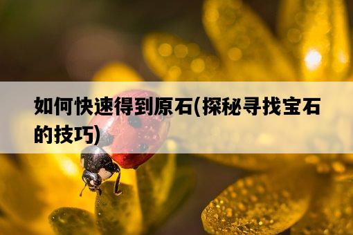 如何快速得到原石，探秘尋找寶石的技巧-圖1