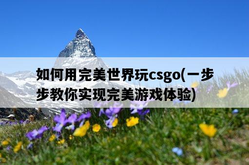 如何用完美世界玩csgo，一步步教你實現完美游戲體驗-圖1