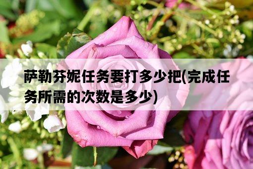 薩勒芬妮任務要打多少把，完成任務所需的次數是多少-圖1