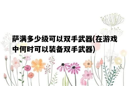 薩滿多少級可以雙手武器，在游戲中何時可以裝備雙手武器-圖1