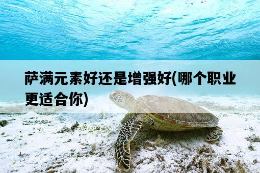 薩滿元素好還是增強好，哪個職業更適合你-圖1
