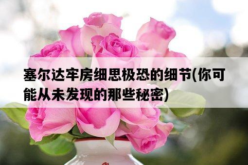 塞爾達牢房細思極恐的細節,你可能從未發現的那些秘密-圖1 塞爾達牢房細思極恐的細節,你可能從未發現的那些秘密-圖1
