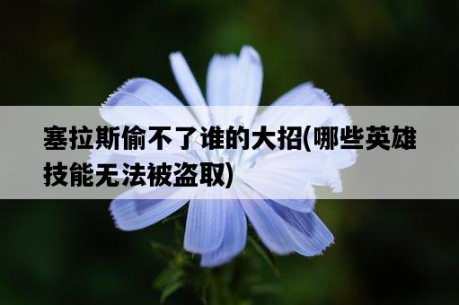 塞拉斯偷不了誰的大招，哪些英雄技能無法被盜取-圖1