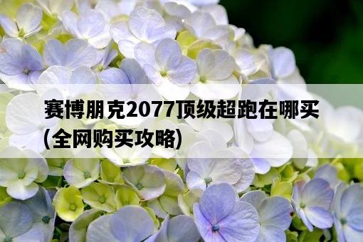 賽博朋克2077頂級超跑在哪買，全網購買攻略-圖1