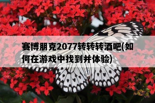 賽博朋克2077轉轉轉酒吧，如何在游戲中找到并體驗-圖1