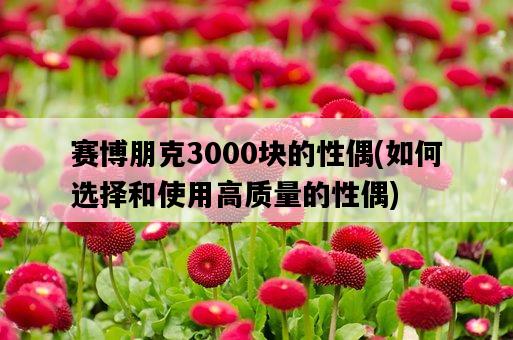 賽博朋克3000塊的性偶，如何選擇和使用高質量的性偶-圖1
