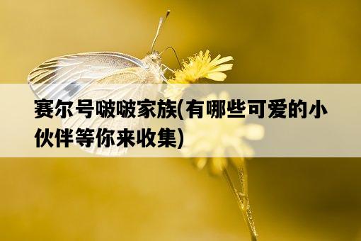 賽爾號啵啵家族，有哪些可愛的小伙伴等你來收集-圖1