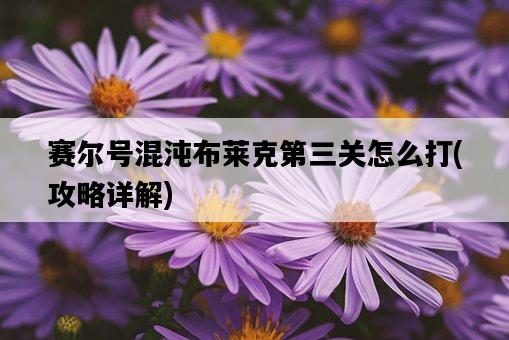 賽爾號混沌布萊克第三關怎么打,攻略詳解-圖1 賽爾號混沌布萊克第三關怎么打,攻略詳解-圖1