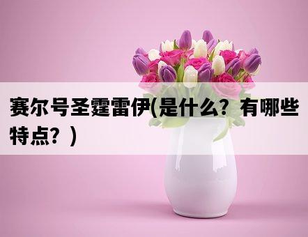賽爾號圣霆雷伊，是什么？有哪些特點？-圖1